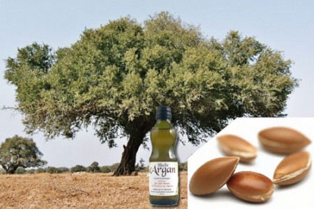 Huile d'argan